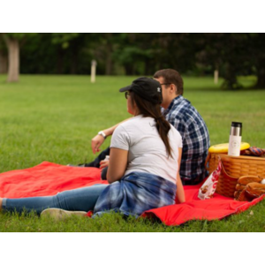 Ozark trail shop outdoor blanket