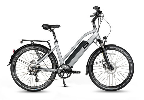 Amego Electric Vehicles: Early Bird Black Friday Sales