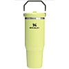 Woot - Stanley IceFlow 2.0 Flip Straw Tumbler with Handle 30 oz (prickly pear) - $20 + free shipping with Prime