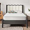 Avenco CozyNest Mattresses (various) - from $61.98