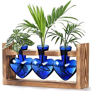 Lifecapido Heart Shaped Plant Terrarium with Wooden Stand for Mother's Day, 3 Vases, (3 Colors) - $9.99 at HY-Home Direct via Amazon