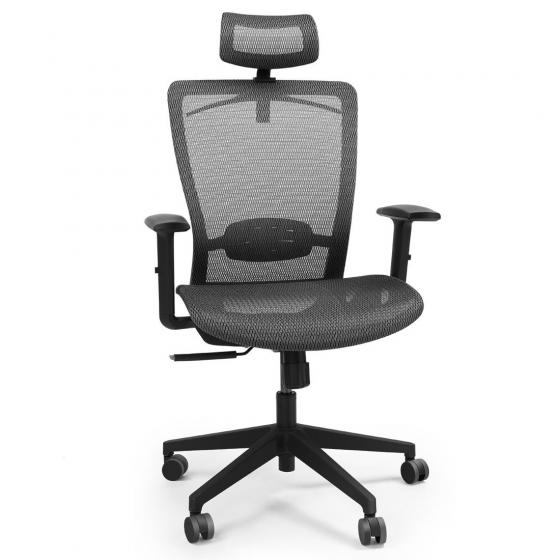 Flexispot Ergonomic Mesh Office Chair (black, model OC3B) $140 + Free Shipping