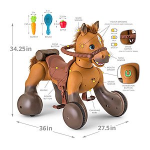 Rideamals 2025 black friday