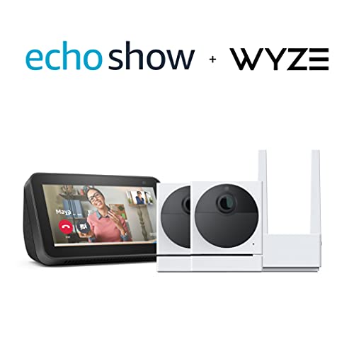 Two Wyze Cam Outdoors and Echo Show $94.98