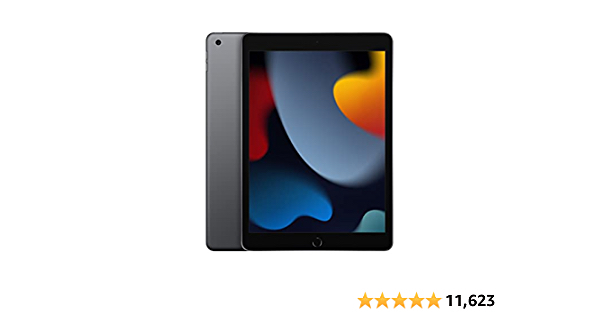 2021 Apple 10.2-inch iPad (Wi-Fi, 256GB) - Space Gray - $429 at Amazon