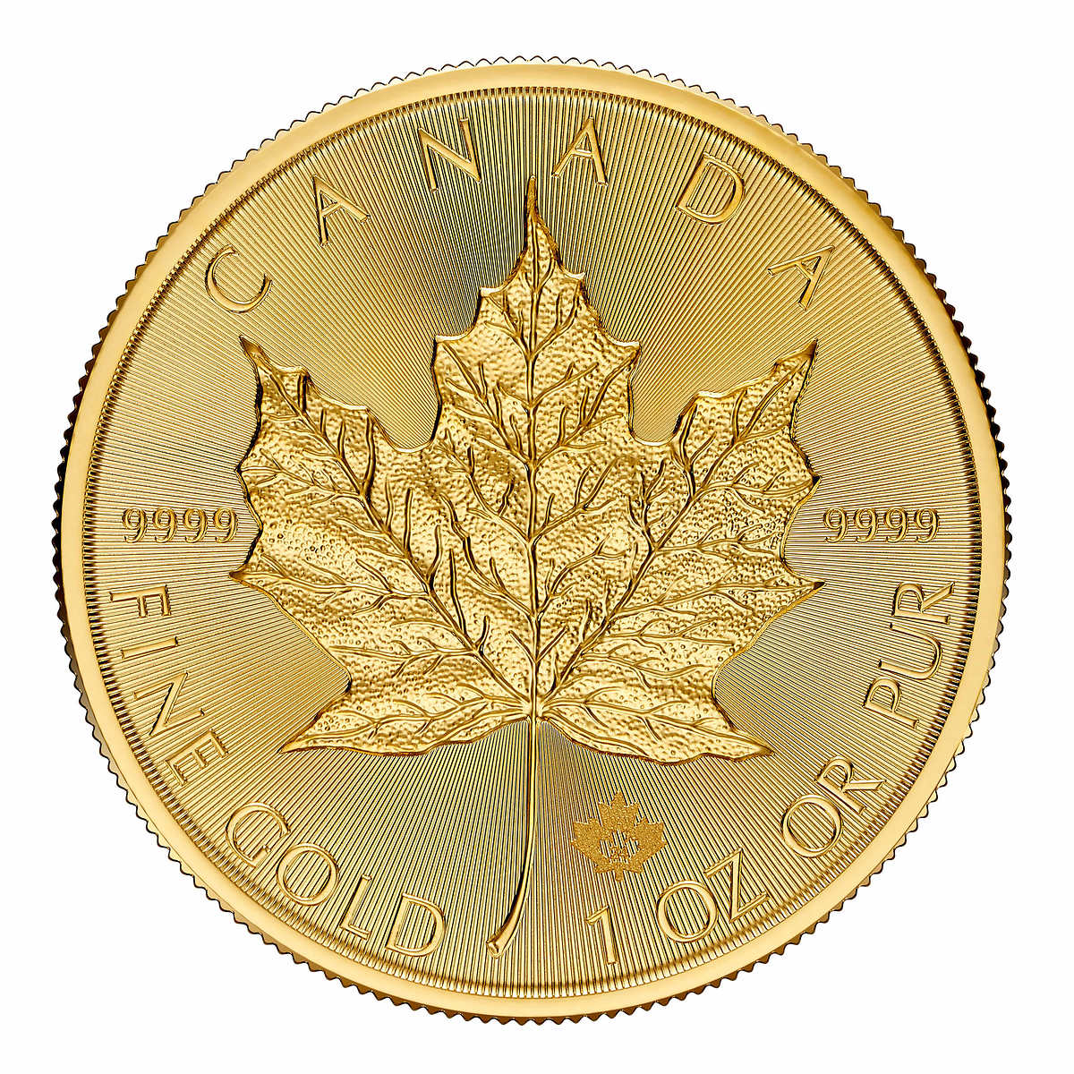 2024 1 oz Canada Maple Leaf Gold Coin - $2329.99