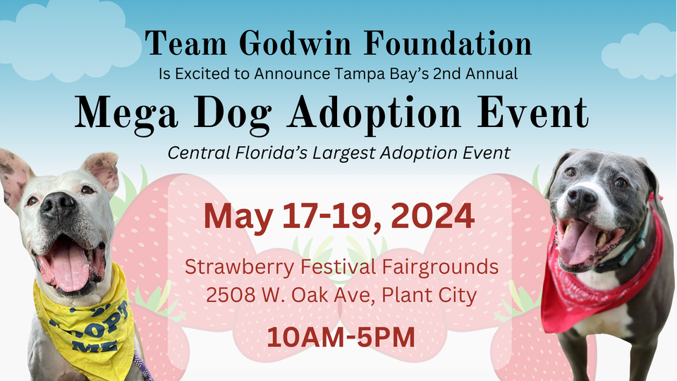 Tampa Bay Metro (Plant City) DOG ADOPTION EVENT!  Adoption fees are free and pets will be vaccinated, spayed, neutered and microchipped. Today to Sunday
