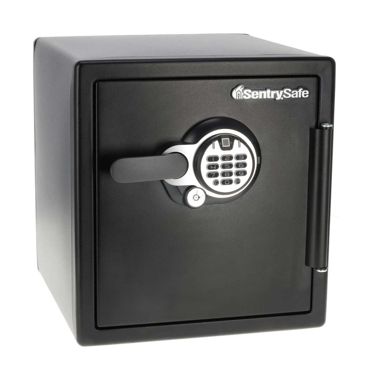 SentrySafe 1.23 cu. ft. Steel Fireproof and Waterproof Home Safe with Biometric Lock - $99