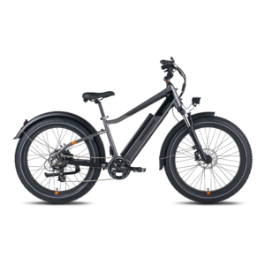 Radrover electric fat bike version 5 2025
