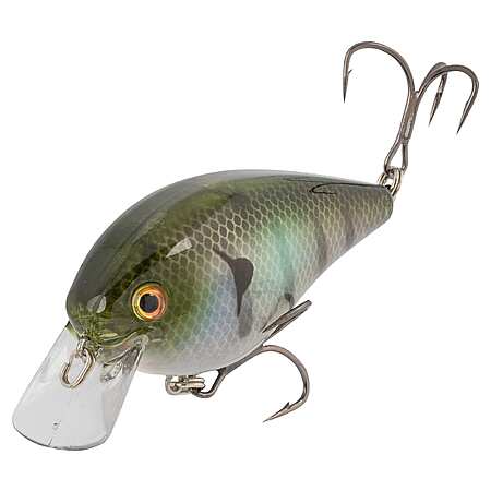 Strike King KVD Square Bill Crank Baits $6-$8 FS @ $50