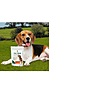 10% off already reduced holiday prices on Dog health supplements at Arnall's Naturals $35.1