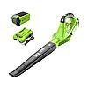 40V150 MPH Greenworks Leaf Blower/Sweeper w/ 2.0 Ah Battery and Charger $55.29 + Free Shipping w/ Prime $69.99