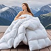 Wellos 900 Fill Power Cotton/Polyester Blend All Season Feather Down Comforter Queen $48.55, King $54.49 + Free Shipping