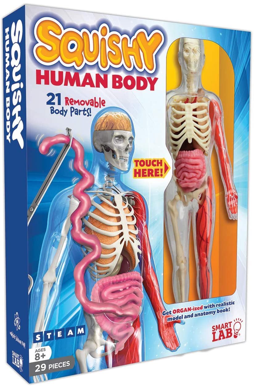 SmartLab Toys Squishy Human Body Kit $9.83 + Free Shipping w/ Prime or on $25+