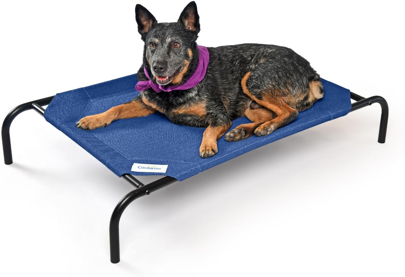 Coolaroo Original Cooling Indoor/ Outdoor Medium Elevated Dog Bed (Blue)