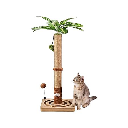 MeCool Cat Scratching Post w/ Hanging Ball and Ball Track; 30" $19.99, 35" $24.99 + Free Shipping w/ Prime