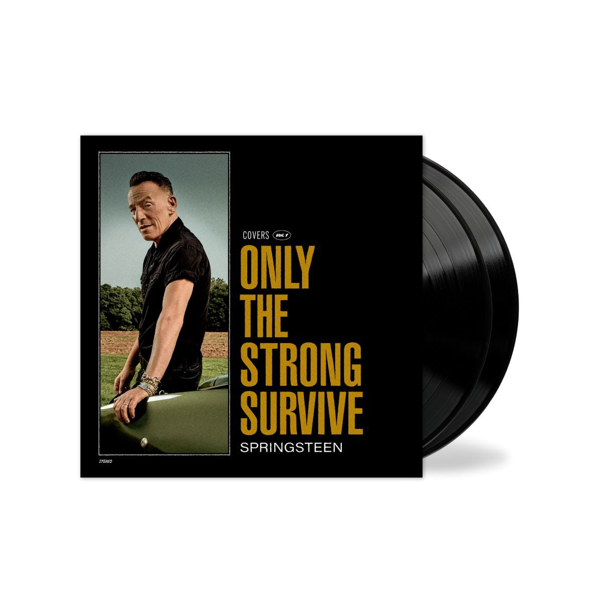 Bruce Springsteen - Only The Strong Survive - Vinyl $17.21