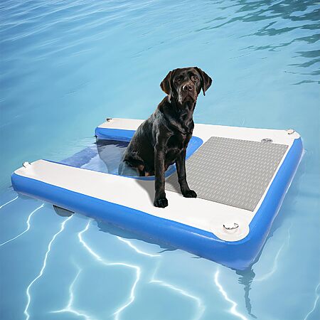 Inflatable Dog Ramp Just $107!