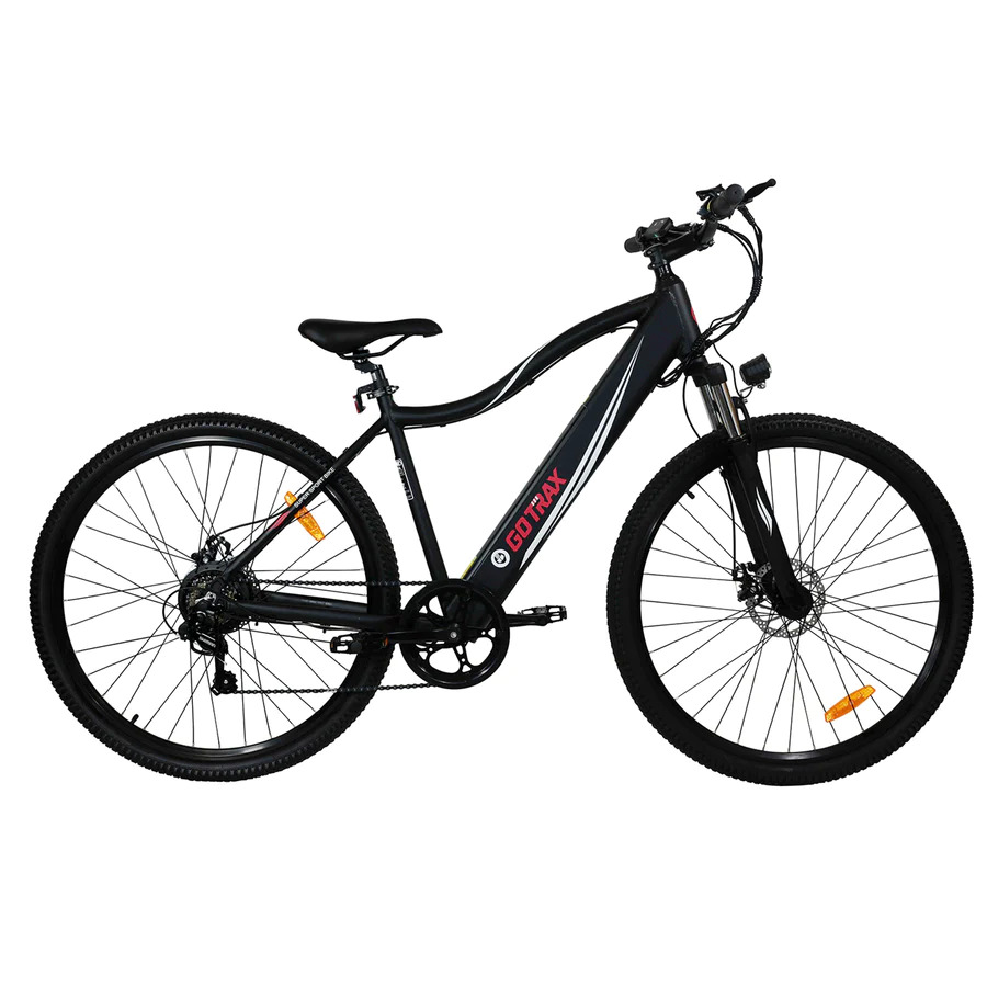 Alpha electric bike Clearance