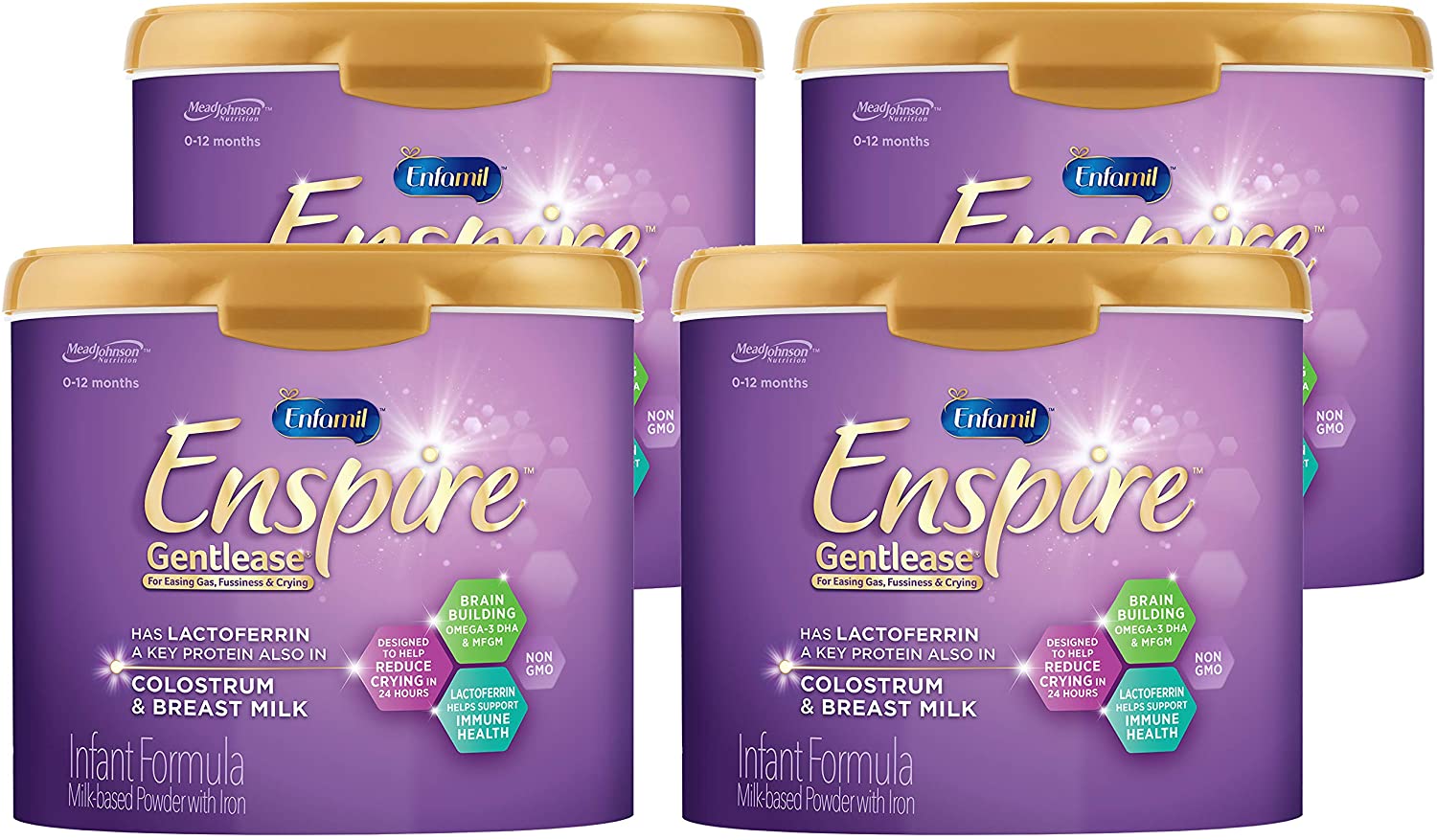 mfgm supplement for infants