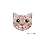 Intex 58784EU – Hyperrealistic Cat Mat with Handles - $5.20