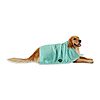 Bone Dry Pet Grooming Towel Collection Absorbent Microfiber X-Large, 41x23.5&amp;quot;, Striped Aqua $6.5