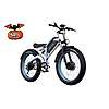 DUOTTS N26 26&amp;quot; Fat Tire Electric Dirt Bike @ DUOTTS $739