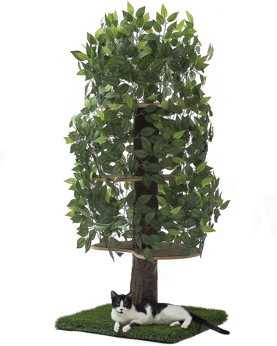 On2 Pets Cat Tree with Leaves - 60 in Large Square Cat Condo & Cat Activity Tree in EverGreen $96.32