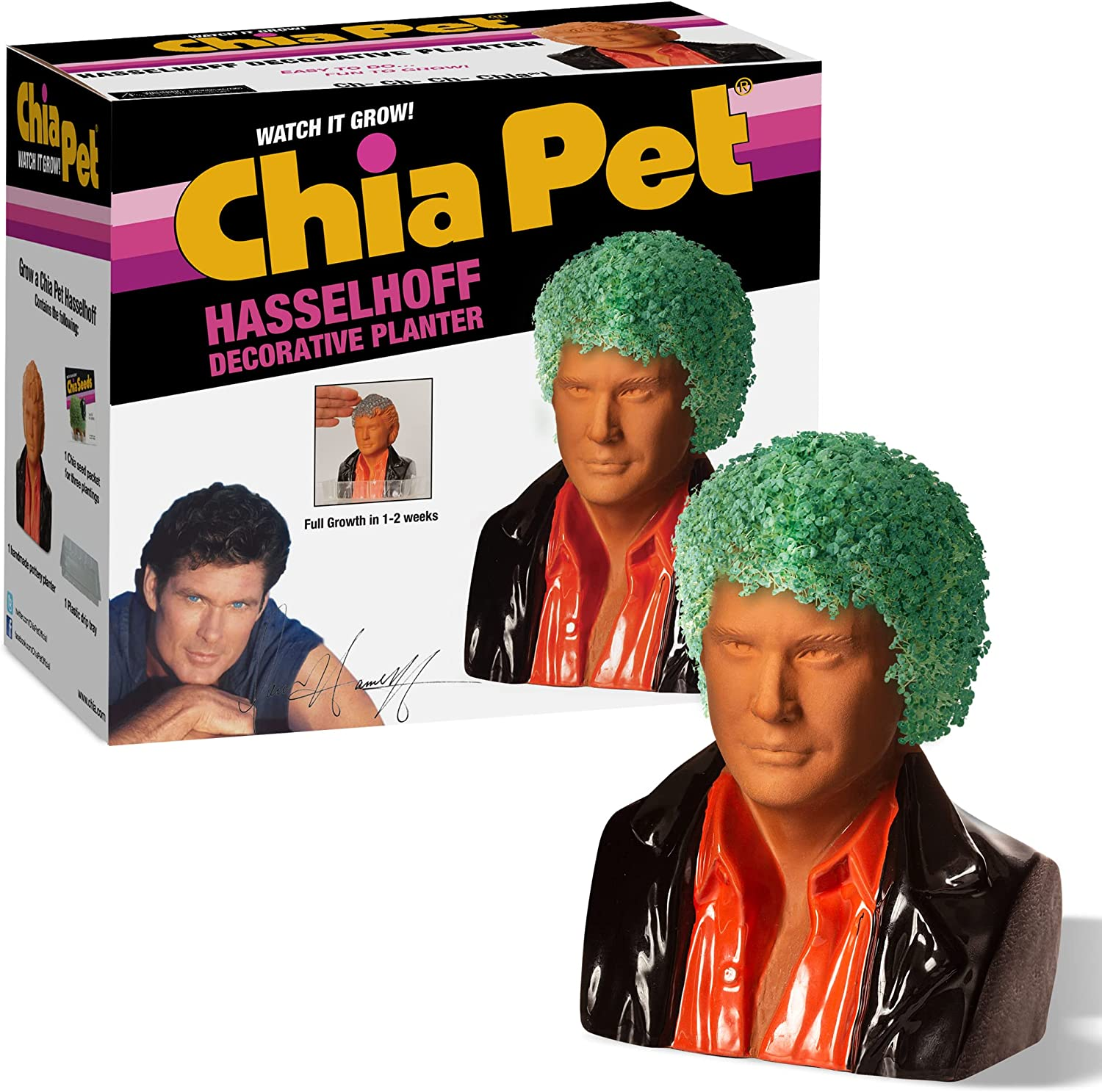Chia Pet David Hasselhoff with Seed Pack $17.99