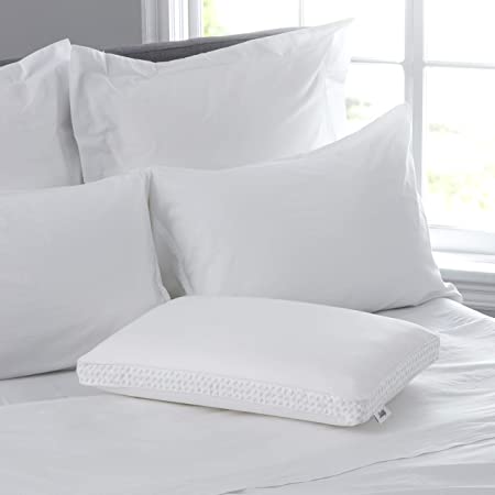 Sealy Essentials Memory Foam Pillow, Standard/Queen $19.99