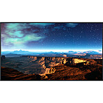 Panasonic SQ1H Series 86&quot; Class 4K UHD Commercial Monitor for $3999 (no taxes with Payboo card) at B&amp;H