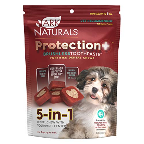 ARK NATURALS Protection+ Brushless Toothpaste, Dog Dental Chews for Mini Breeds, Prevents Plaque & Tartar, Freshens Breath, 4oz, 1 Pack $3.5