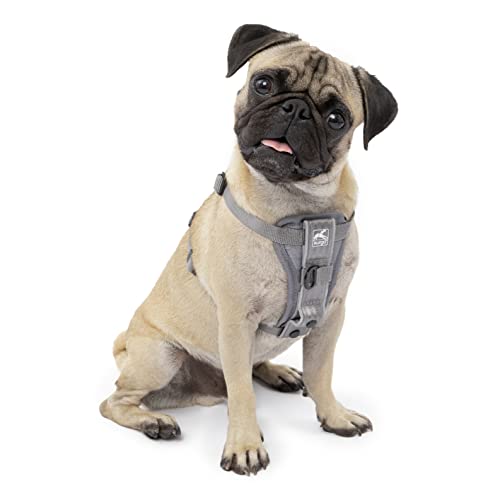 Kurgo Dog Harness | Pet Walking Harness | No Pull Harness Front Clip Feature for Training Included | Car Seat Belt | Tru-Fit Quick Release Style | Small | Grey $13.95