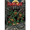 Teenage Mutant Ninja Turtles: The Ultimate Collection Vol. 1 (TMNT Ultimate Collection, Paperback) $15.91 + Free Shipping w/ Prime or on $35+