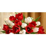 eGifter.com: Free $5 1-800-Flowers Gift Card (New Members Only - Facebook Required)