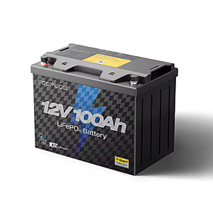 ECOFLOW 12V 100Ah LiFePO4 Battery w/ 100A BMS + Free Shipping
