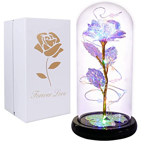 Valentines LED Rose Gifts in Glass Dome $11.99