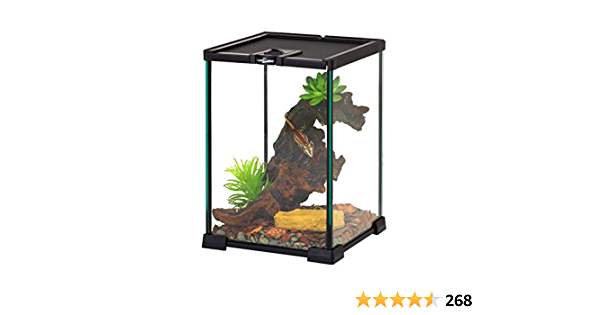 REPTIZOO Mini Reptile Glass Terrarium Tank 8" x 8" x 12" Full View Visually Appealing Top Feeding & Venlitation Small Reptile Glass Habitat