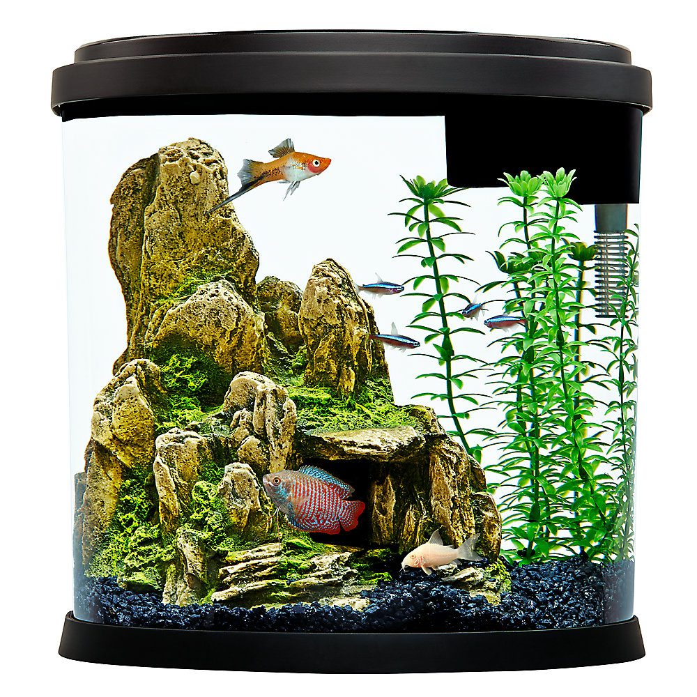 PetSmart: Key Price Points on Aquarium Starter Kits Starting from $24.99 + Free Same Day Delivery