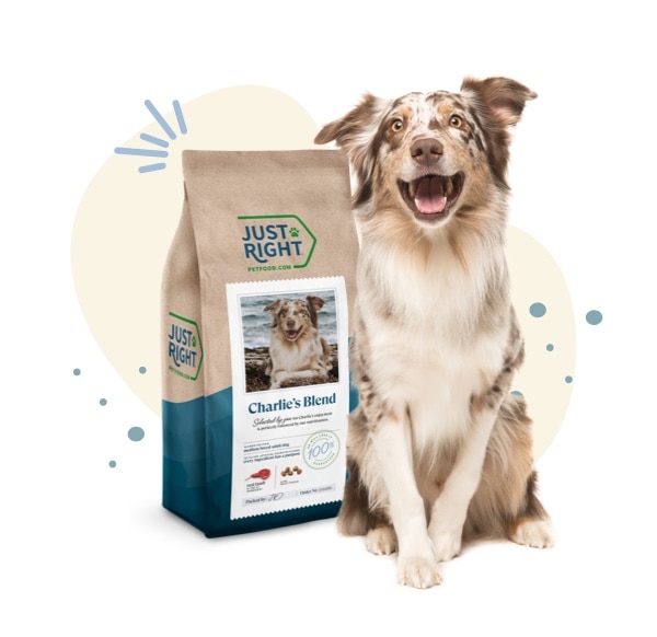 Just Right 70 Off Your First Order of Personalized Pet Food + Free
