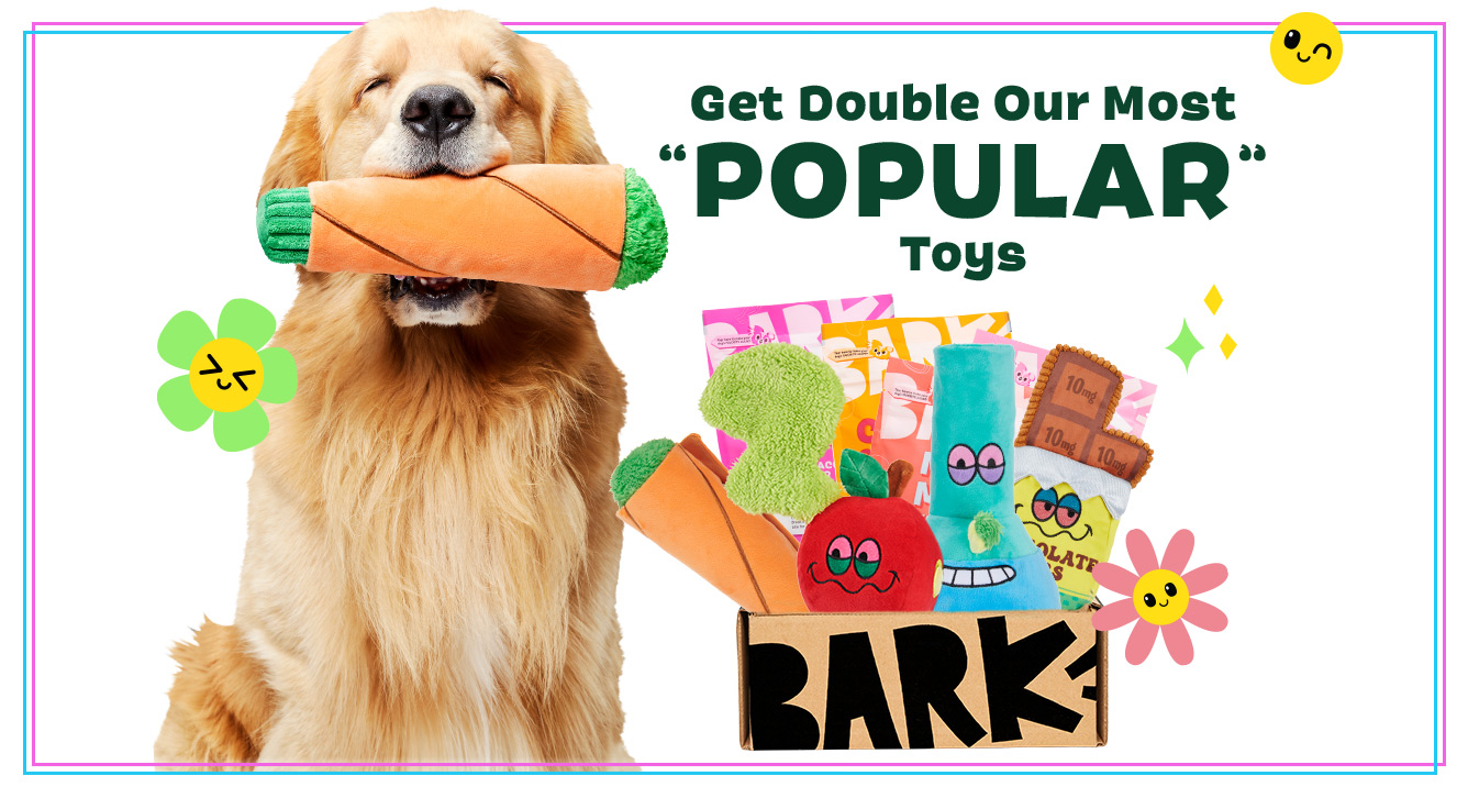 BarkBox: 2x the Toys & Treats on Your First Box for Free with 6 or 12 Month Plan $20