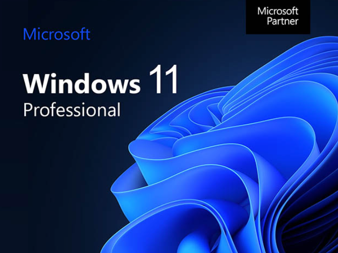 Microsoft Windows 11 Pro (Digital Download) $23