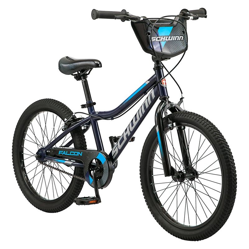 Schwinn Falcon 20" Kids' Bike ($179 -> $89)