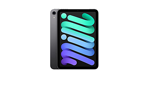 2021 Apple iPad Mini (Wi-Fi, 64GB) - Space Gray - $459