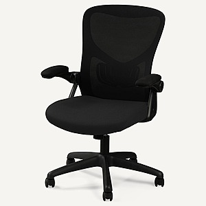 FlexiSpot Ergonomic Spine-Support Office Chair (Black or Grey) $  89 w/ Free Shipping