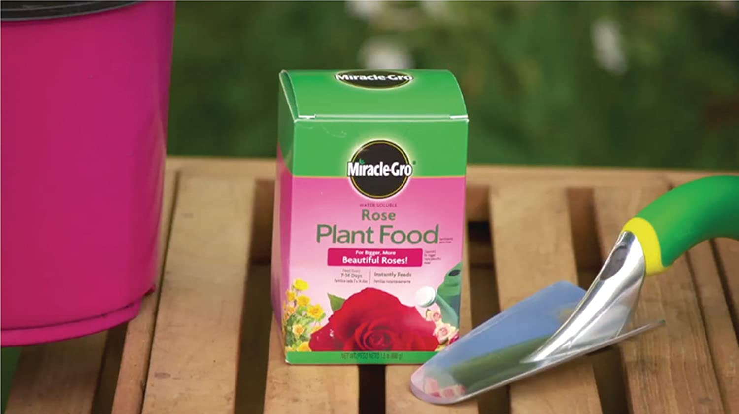 Miracle-Gro Water Soluble Rose Plant Food, 1.5 lb. $3.92 AMAZON