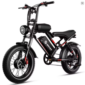 20" AMYET S8 Dual 1000W Motor 25AH Electric Bike (up to 32mph / 70 miles) $660.85 + Free Shipping