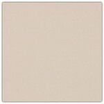 Amazon Prime 2 CENT Classic Accessories Montlake Cushion Antique Beige Swatch, Classic Accessories Only $0.02 Shipped