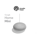 Support 100% Wind Energy for a Google Home Mini YMMV $9