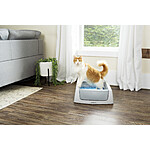 ScoopFree Self Cleaning Cat Litter Box $124.95